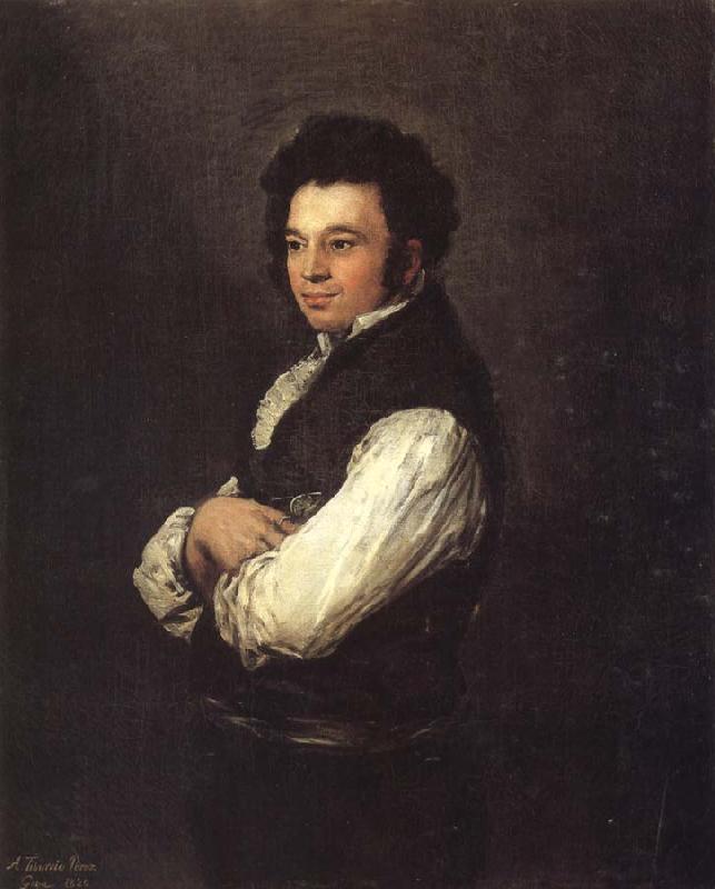 Francisco Goya Tiburicio Perez oil painting image